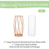 Vaas voor pampasgras, glas, roségoud, vaas, hoge vloervaas met geometrisch metalen frame, knopbloempot, voor Scandinavische decoratie voor bureau, bruiloftsmiddenstuk, 27 cm hoog