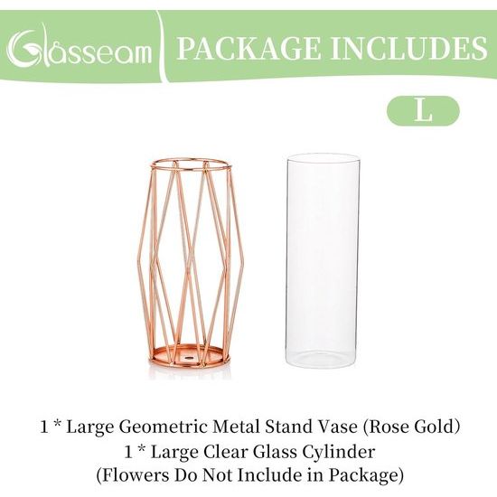 Vaas voor pampasgras, glas, roségoud, vaas, hoge vloervaas met geometrisch metalen frame, knopbloempot, voor Scandinavische decoratie voor bureau, bruiloftsmiddenstuk, 27 cm hoog