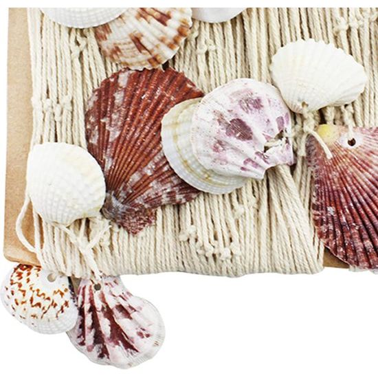 Visnet met schelpen voor decoratie - fotonet om op te hangen - maritieme wanddecoratie - zeedecoratie - 1 x 2 m (001 stuks - net)