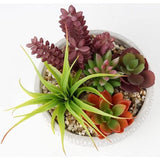 Kunstplant, vetplanten, kunstmatige kamerplant, vetplant, decoratieve tafeldecoratie, woonkamer, vetplant, in cementpot, voor badkamer, bureau, sideboard, hoogte 16 cm