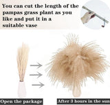 pampasgrasdecoratie, 100 stuks pampasgras met gedroogde bloemen, rietgrasboeket voor bruiloft, boho-bloemen en tafeldecoratie thuis, rustieke boerderijfeest