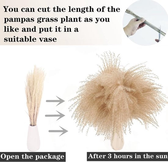 pampasgrasdecoratie, 100 stuks pampasgras met gedroogde bloemen, rietgrasboeket voor bruiloft, boho-bloemen en tafeldecoratie thuis, rustieke boerderijfeest