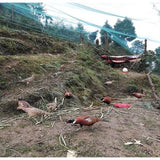 Vogelbeschermingsnet, Kippennet, Vijvernet ,Vogelnet (maaswijdte 2 cm of 3 cm), Pluimveenet, Tuinnet, Zwembadnet voor tuin, balkon of vijver, kersenboom, robuust UV-bestendig