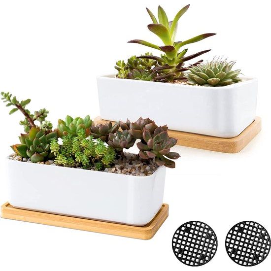 Witte keramische plantenpotten, plantenpotten voor binnen en buiten, set van 2 kleine cactusbakken, bonsaipotten, bloempotten met drainage en bamboe schaal (groene plant)