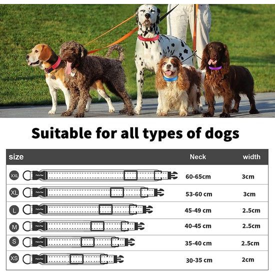 Zachte Halsband Reflecterende Verstelbare Gewatteerde Halsband Met Tag Voor Kleine Grote Honden - Zwart - S