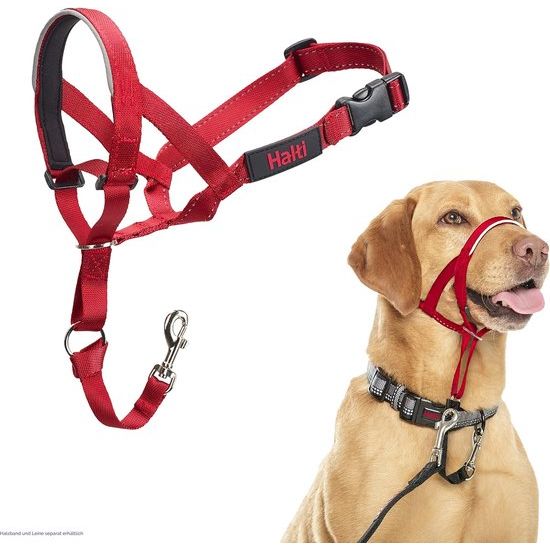 Hoofdharnas - Voorkomt dat je hond aan de lijn trekt, eenvoudige aanpassing, licht, met gevoerde neusriem, anti-trekhalsband voor middelgrote honden (maat 3, rood)Halti dog collar.