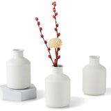 Mini Witte Bloemenvaas - Kleine Bud Vaasjes voor Gedroogde Kunstbloemen 3 stuks Leuke Scandinavische Vaasjes voor Woonkamer Minimalistisch Klein Vaasje voor Bruiloft Kerstmis Verjaardag Tafelstuk Decoratie