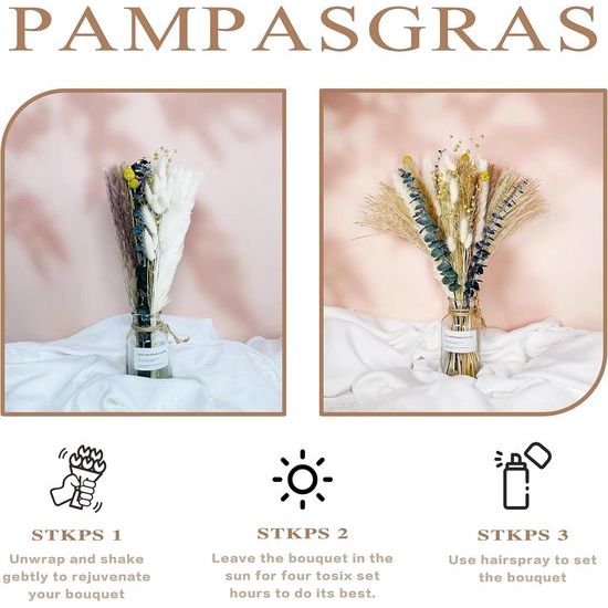 Natuurlijk pampasgras, decoratie, 65 stuks, doe-het-zelf droogbloemen voor pampasgras, gedroogd boeket, ideaal voor boho, woonkamer, slaapkamer en vazen, decoratie (73 stuks)