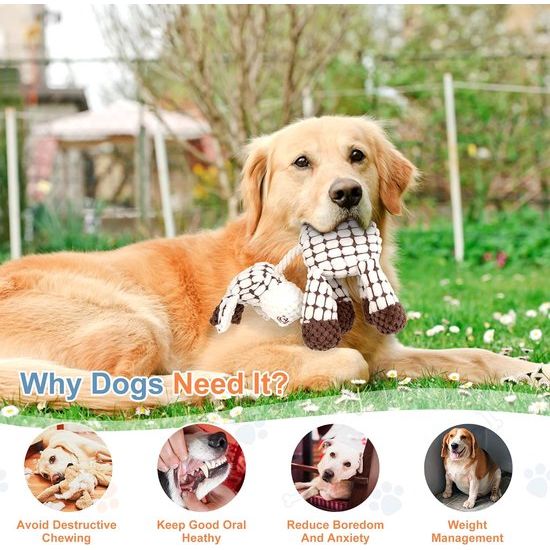 Touwtrekken Pluche Hondenspeelgoed Interactief Hondenspeelgoed tegen verveling Piepend Zacht Kauwen Katoen Gevuld Onverwoestbaar voor Kleine Middelgrote Huisdieren Puppy's Schapen Wit