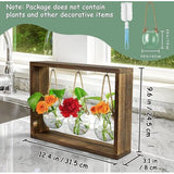 Vaas met vintage houten frame en 3 grote glazen vazen