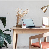 4 stuks kunstvetplanten, potplanten, kunstplanten in keramische pot, kleine kunstplanten zoals echt, binnen, thuis, tafel, kantoor, slaapkamer, thuis, badkamer, decoratie, kunstplant