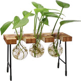 Hydrocultuur glazen vaas, hydrocultuur vaas, desktopplant, terrariumglas, met houten rek, voor hydrocultuur, planten, luchtplanten, terrarium, thuiskantoor, tuindecoratie, 3 bloemenvaas
