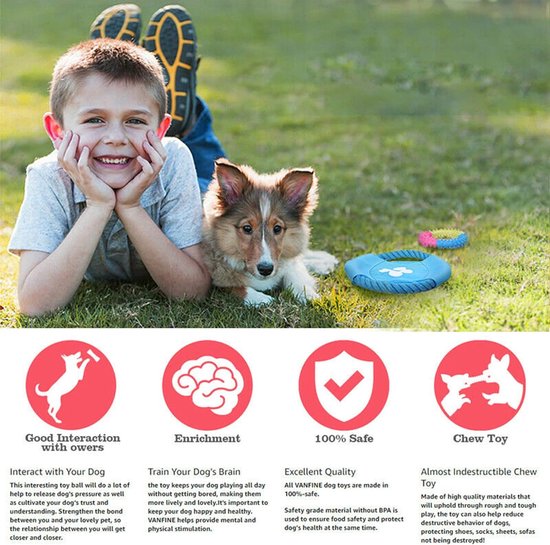 12-delige hondenspeelgoedset, duurzaam hondenspeelgoed, touwspeelgoed voor kleine huisdieren, puppyspeelgoedset, verlicht verveling en stress voor kleine, middelgrote en grote honden