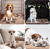 Schoonloopmat, wasbaar, 60 x 90 cm, deurmat voor binnen, absorberende vloermat, antislip schoonloopmat, waterdicht tapijt voor hond, ingang, natte poten