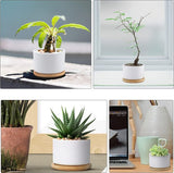 6-delige 3 inch keramische plantenbakken, klassieke ronde succulente plantenbakken, keramische plantenbakken, witte mini decoratieve bonsaipotten