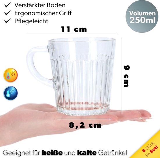 Theeglazen, set van 6 glazen met handvat, vaatwasmachinebestendig, drinkglazen voor koffie, thee, water, sap, drink, tuin, sapglazen, waterglazen, glazenset, glazen kopjes (Birgit, 250 ml)