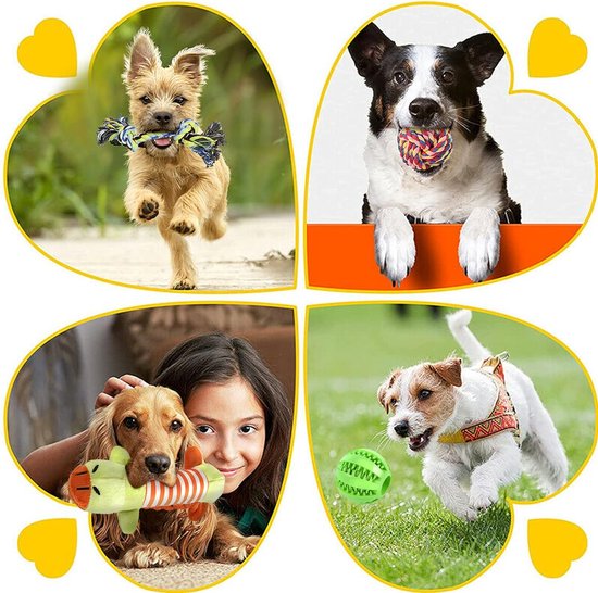 12-delige hondenspeelgoedset, duurzaam hondenspeelgoed, touwspeelgoed voor kleine huisdieren, puppyspeelgoedset, verlicht verveling en stress voor kleine, middelgrote en grote honden