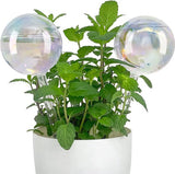 Waterdispenser, glazen irrigatieballen met elegante geschenkdoos, plantenirrigatie voor vakantieplanten, zelfbewateringsapparaat voor binnen- en buitenplanten, 2 stuks