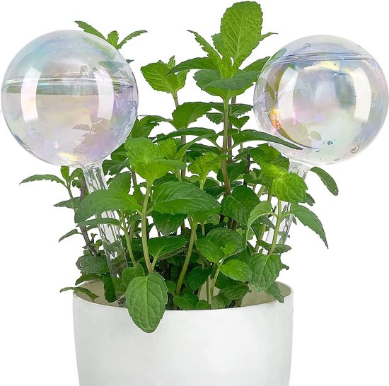 Waterdispenser, glazen irrigatieballen met elegante geschenkdoos, plantenirrigatie voor vakantieplanten, zelfbewateringsapparaat voor binnen- en buitenplanten, 2 stuks