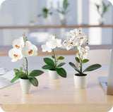 Kunstbloemen in potten (36cm) - set van 3 orchideeën kunstmatig op elkaar afgestemd arrangement in hoogglans keramische potten, decoratieve kunstbloemen, kunstorchideeën (wit arrangement)