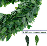 Buxusslinger, 22,5 meter, kunstbuxusslinger, bladeren, klimop, bladeren, groene bladeren, nep wijnstok