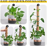 Monstera Plantenstaaf, 4 stuks, 70 cm, monstera, klimhulp, flexibele mosstaaf, plantenstaaf, Monstera, voor klimplanten, plantennaam, plantentijd, plantenondersteuning