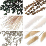 Droogbloemen, decoratie, pampasgras, gedroogde bloemen, natuurlijke gedroogde bloemen, eucalyptus, decoratie, planten, boeket, boho, pampasgras, decoratie voor woonkamer, thuis, bruiloft,