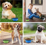 Set van 2 opvouwbare hondenbakken, reisbak voor huisdieren met deksel en haak, draagbare siliconen voerbak, hondenbak voor reizen, wandelingen, kennel, kamperen (450 ml, blauw en groen)