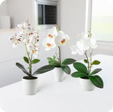 Kunstbloemen in potten (36cm) - set van 3 orchideeën kunstmatig op elkaar afgestemd arrangement in hoogglans keramische potten, decoratieve kunstbloemen, kunstorchideeën (wit arrangement)