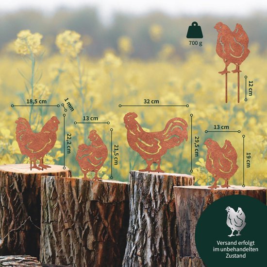 Kippen met kraan, tuindecoratie, roest, haan decoratie, kippendecoratie, tuinsteker, roest, kippen en haan van ijzer (zilver), roestdecoratie, tuindecoratie voor tuin, balkon en terras