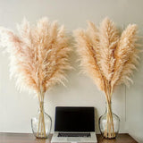 10 stuks Pampasgras Groot, Pampasgras XXL, Pampasgras Decoratie Groot voor Boho Decoratie Woonkamer Tafel Slaapkamer Bruiloft Badkamer (100 cm)