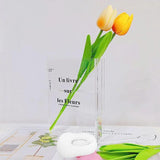 Vaas,transparant plastic