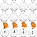Vaas,transparant,12 stuks mini glazen vazen