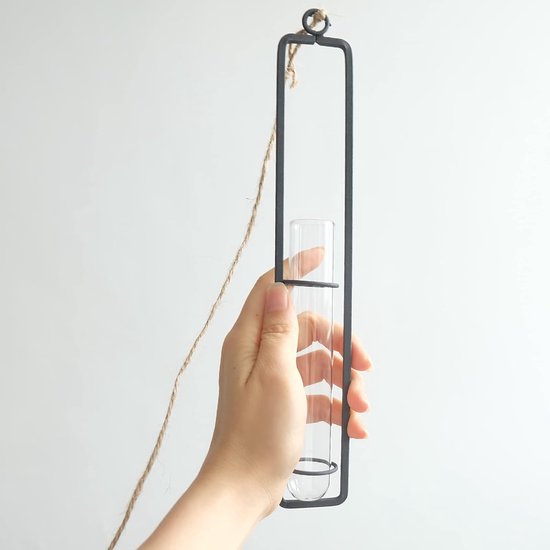 3 stuks glazen vaasjes van smeedijzer, fles reageerbuis voor bloemen, hangende metalen luchtplantenhouder, metalen strijkijzer, creatieve wandophanging, planten, glazen vazen voor