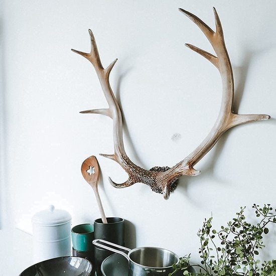 Hansmeier® Gewei rustiek | Vintage natuur | voor binnen, buiten, balkon & tuin | 54 x 40 x 14 cm | decoratief hertengewei | wanddecoratie