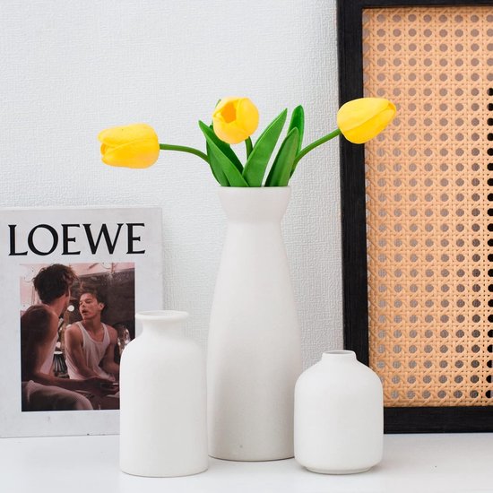 Zwarte keramische vazenset van 3 kleine bloemenvazen voor decoratie, moderne rustieke boerderij huisdecoratie, decoratieve vazen voor pampasgras, ideeënplank (wit)