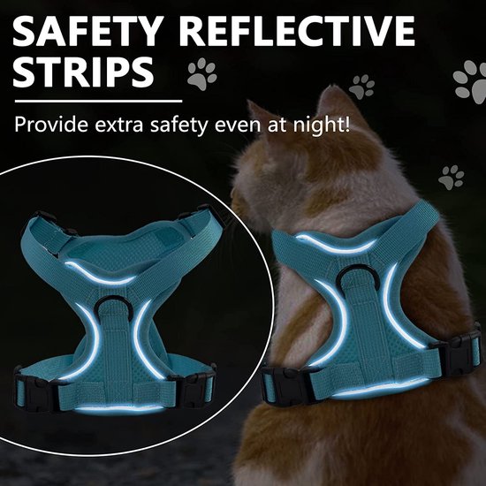 Kattenharnas met riem, 150 cm ontsnappingsbestendige kattenriem met harnas voor katten, verstelbare zachte kattenvestcontrole Ademende kattenriem met reflecterende strips (S, blauw)