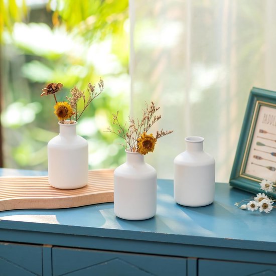 Mini Witte Bloemenvaas - Kleine Bud Vaasjes voor Gedroogde Kunstbloemen 3 stuks Leuke Scandinavische Vaasjes voor Woonkamer Minimalistisch Klein Vaasje voor Bruiloft Kerstmis Verjaardag Tafelstuk Decoratie