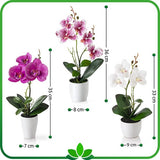 Kunstbloemen in potten: set van 3 orchideeën, kunstmatig op elkaar afgestemd arrangement in hoogglans keramische potten - hoogte 35 cm, kunstbloemen, kunstorchideeën (wit-roze)