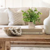 Kunstplanten in pot, kunstplanten, klein als echt, 3 stuks, bureauplanten, kunstplanten, mini voor tafeldecoratie huis, balkon, kantoor, decoratie