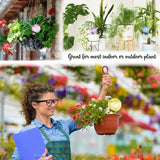 4 stuks grote planten-gietballen, 26,5 x 8 cm, meerkleurig, voor planten, irrigatieballen, potplanten, zelfbewatering, pvc, irrigatieballen, waterdispenser voor planten