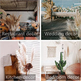 10 stuks Pampasgras Groot, Pampasgras XXL, Pampasgras Decoratie Groot voor Boho Decoratie Woonkamer Tafel Slaapkamer Bruiloft Badkamer (100 cm)