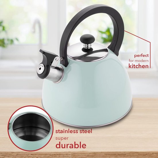 Brilloi Kettle (2 Litres) Stainless Steel Tea Kettle Whistling Kettle with Bakelite Handle I Scratch-Resistant I Kettle for Induction Hobs, Gas Hobs and Electric Hobs I Colour: Mint