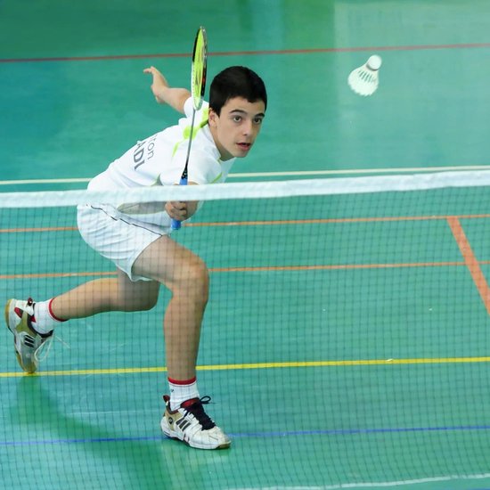 Set van 12 ganzenveren badmintonshuttles, natuurlijke shuttles met hoge stabiliteit en duurzaamheid, ganzenveren shuttles, training