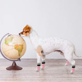 2 paar dubbelzijdige antislip hondensokken met verstelbare bandjes voor gebruik binnenshuis - hondenschoenen pootbeschermer zomer huisdier pootbescherming tractiecontrole sokken op hardhouten vloer