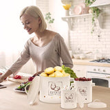 3 stuks aardappelopbergdoos, veelzijdige aardappelpannenset met ventilatiesysteem houdt groenten langer vers, ideaal voor het bewaren van uien en het bewaren van aardappelen