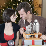 Cocktailshaker, cocktailset, 10-delige geschenkbarset, baraccessoires, cocktailset, 750 ml, premium barkeeperset voor thuis, bar