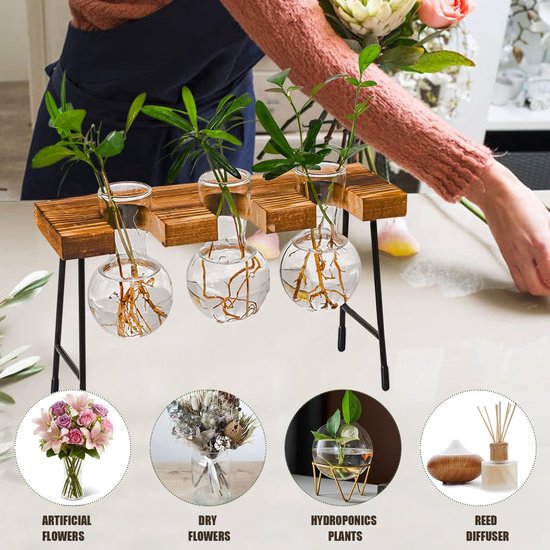 Hydrocultuur glazen vaas hangvaas bloemenvaas tafelvaas luchtplanten terrarium bureau decoratieve vaas met houten houder glazen plant voor kantoor huis tuin decoratie (3 vazen)
