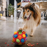 Snuffelbal voor honden, interactief hondenspeelgoed, wasbaar intelligentiespeelgoed voor huisdieren, snuffelkleed voor kleine, middelgrote, grote honden, katten