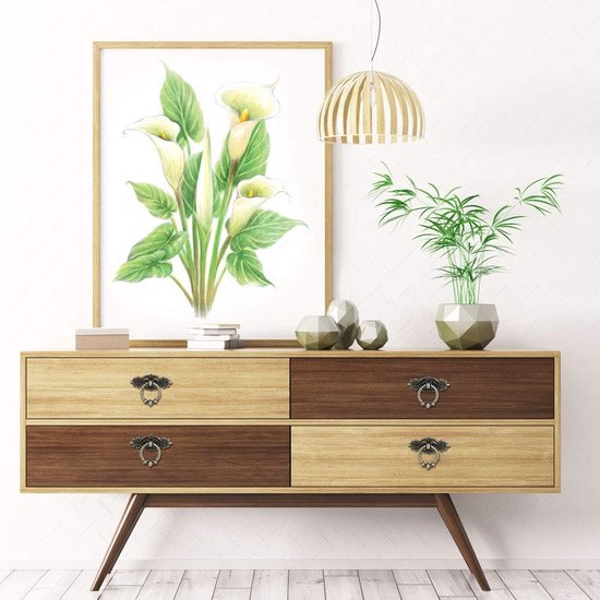 10 stuks meubelgrepen, messing, deurgrepen, vintage, kastgrepen, ladegrepen, antieke meubelknoppen met 20 schroeven, voor commode, meubels, kast, kledingkast